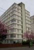 The Maple - Complete