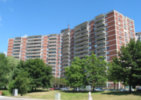 El Mirador - Complete
