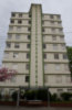 The Maple - Complete