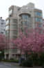 The Bellevue - Complete