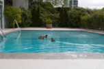 The Surfside - Complete