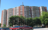 El Mirador - Complete