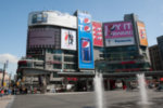 Toronto Life Square - Complete