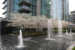 1650 Bayshore - Complete