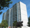 The Brimorton - 555 - Complete