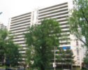 High Park Village - Structure 6 - Complete