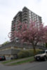 1202 Harwood - Complete