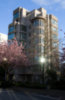The Bellevue - Complete