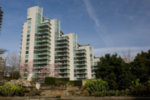 1717 Bayshore 1 - Complete