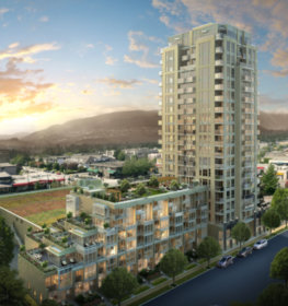 Image of Local on Lonsdale (Complete)