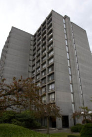 Image of Twin Arms (Complete)