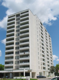 Image of Terrace Wood (Complete)