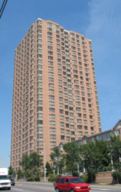 Image of The Omni (Complete)
