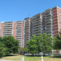Image of El Mirador (Complete)