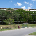 Image of St. Andrew