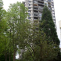 Image of Huntington Place (Complete)