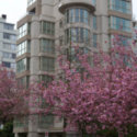 Image of The Bellevue (Complete)