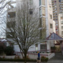 Image of 1042 Nelson (Complete)