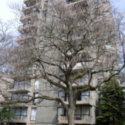 Image of 1735 Nelson (Complete)