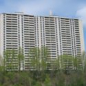 Image of 65 Emmett (Complete)