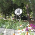Image of 385 The East Mall (Registered)