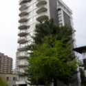 Image of Pat Rose Place (Complete)