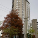 Image of 845 Chilco (Complete)