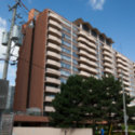 Image of 100 Roehampton (Complete)