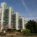 Image of 1717 Bayshore 1 (Complete)